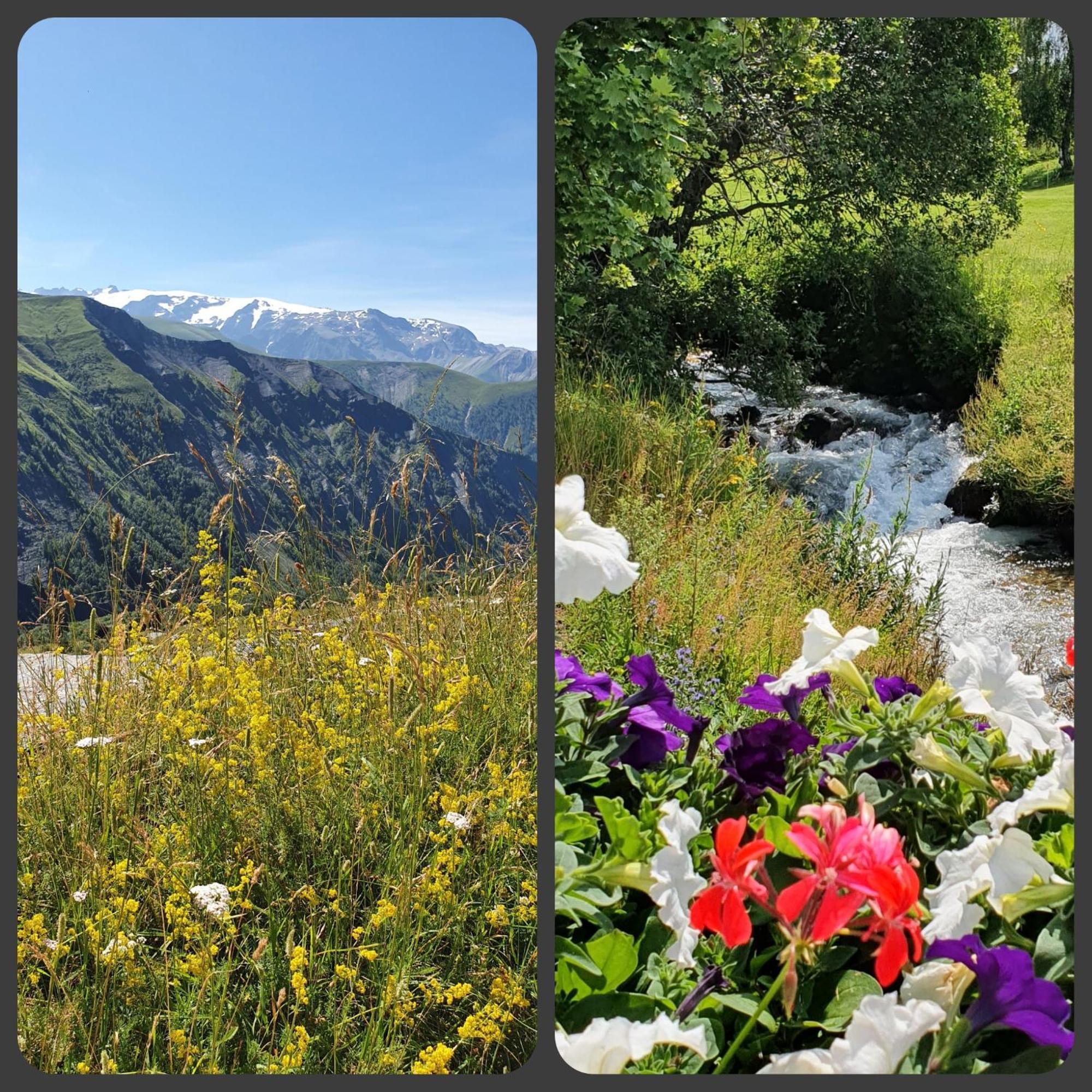Pieds Des Pistes - Parking Couvert - Plein Sud Alpe d'Huez Екстер'єр фото
